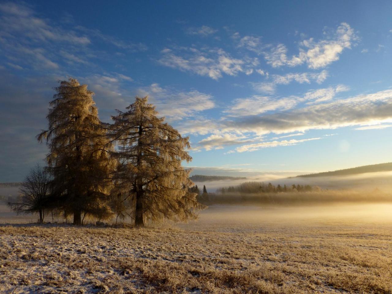 U Votapku Daire Nove Hute Dış mekan fotoğraf